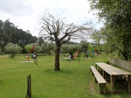 IMG_1407