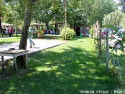 IMG_6957