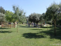 IMG_8614