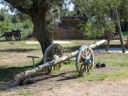 IMG_8633