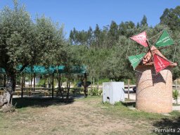 IMG_8635