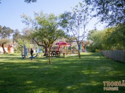 _MG_7885